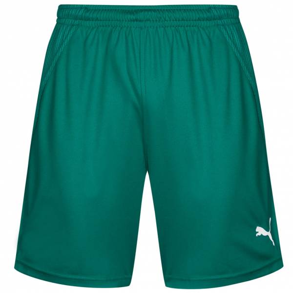 PUMA PowerCat 1.10 Handball Shorts 700873-05