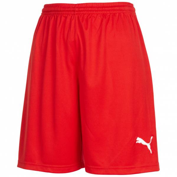 PUMA V5.06 Women Training Shorts 700283-02