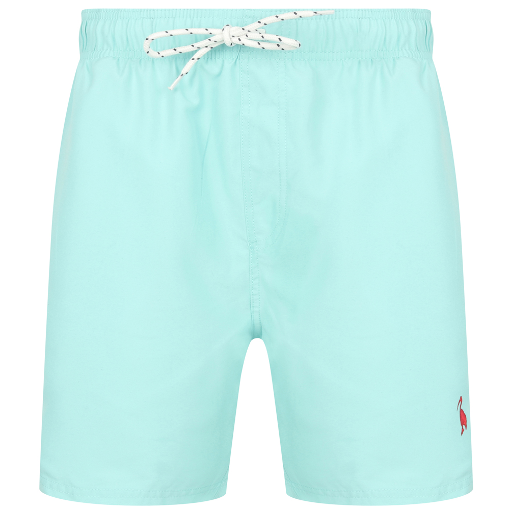 aqua swim shorts