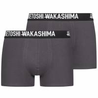 HIDETOSHI WAKASHIMA 