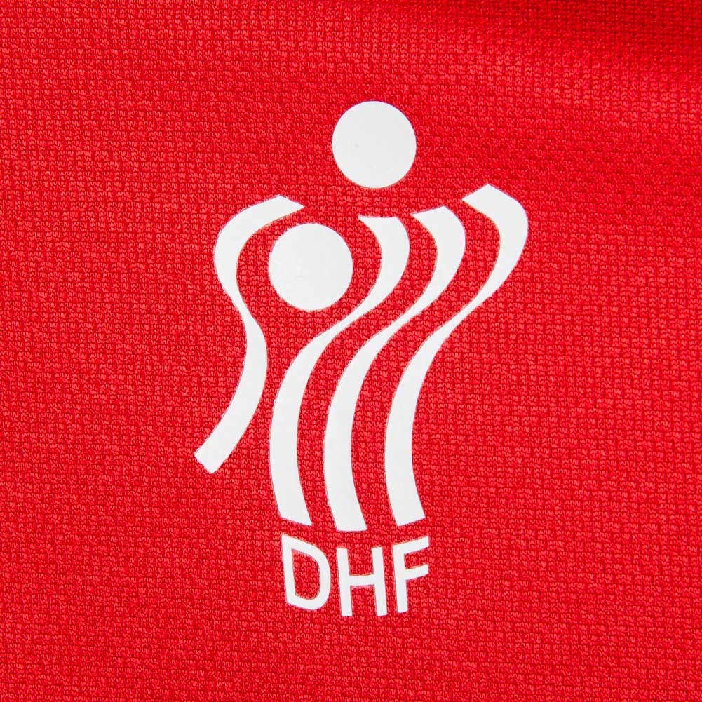 DHF Denmark PUMA Men Handball Jersey 75067501