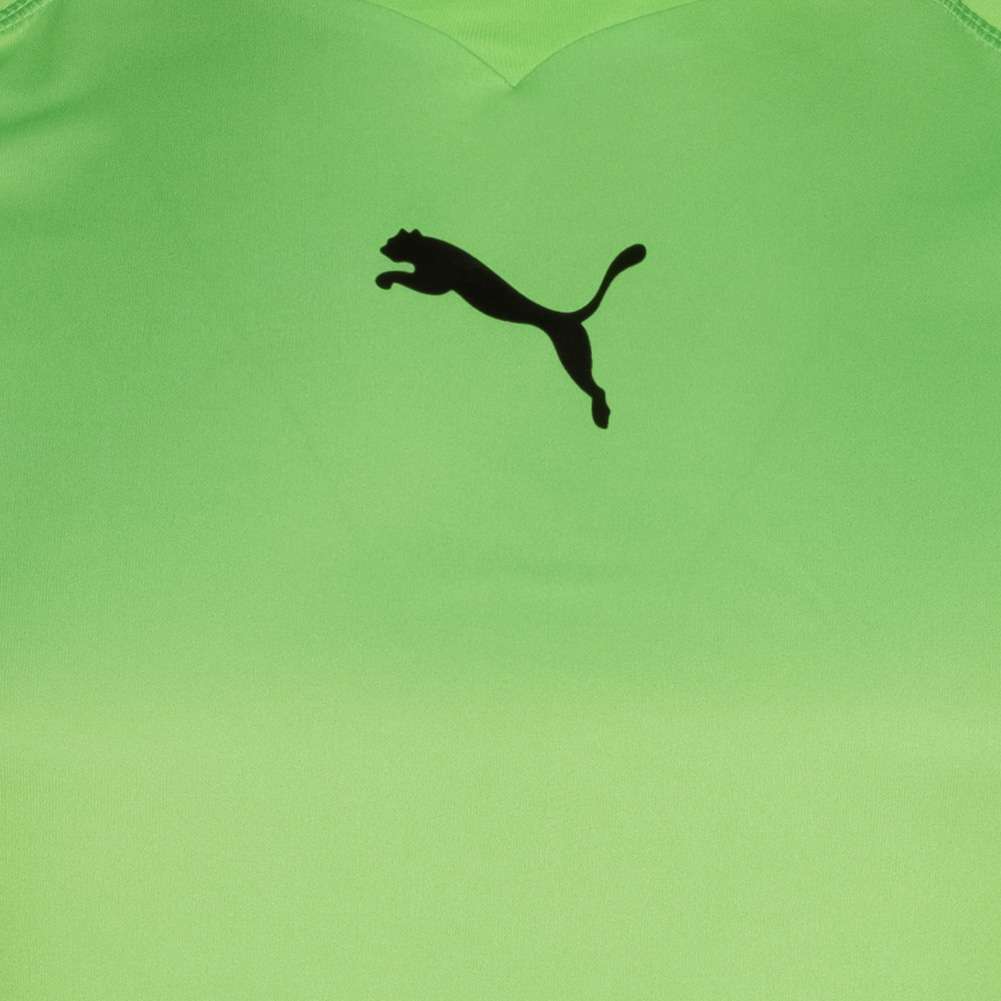 PUMA Men Long-sleeved Goalkeeper Jersey 740208-02 | SportSpar.com