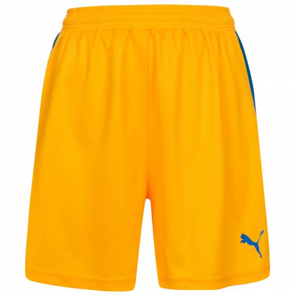 PUMA EvoSpeed Damen Trainings Shorts 701608-20
