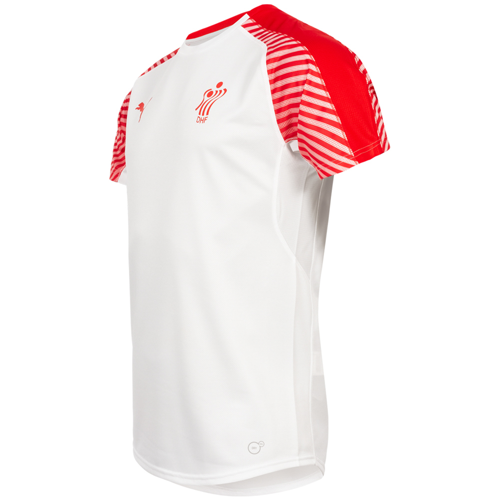 DHF Denmark PUMA Men Handball Jersey 75067512