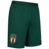 Italia FIGC PUMA Hombre Pantalones cortos de tercera equipación 756438-03