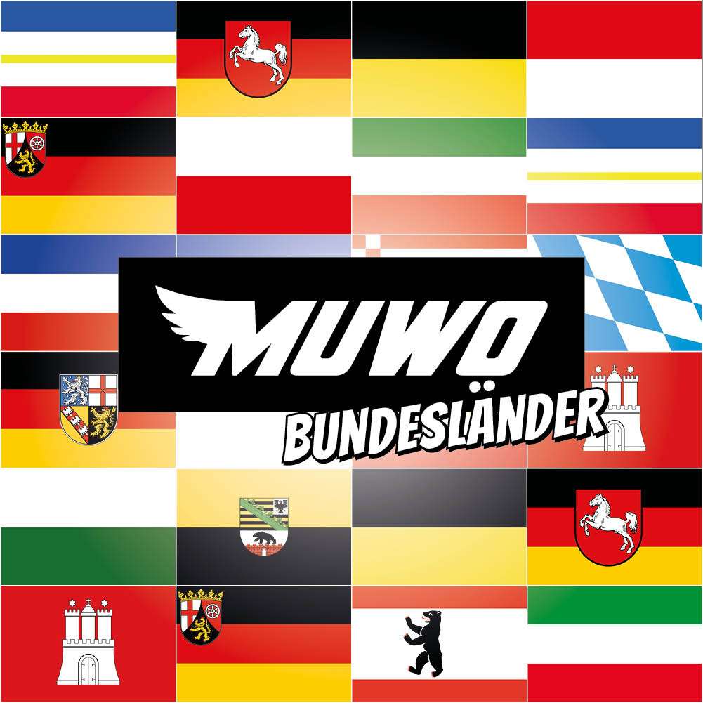 Bandiera Schleswig Holstein 90x150 Cm - Bandiera Da Tempesta In Poliestere UV Resistente - Con Occhielli Metallici