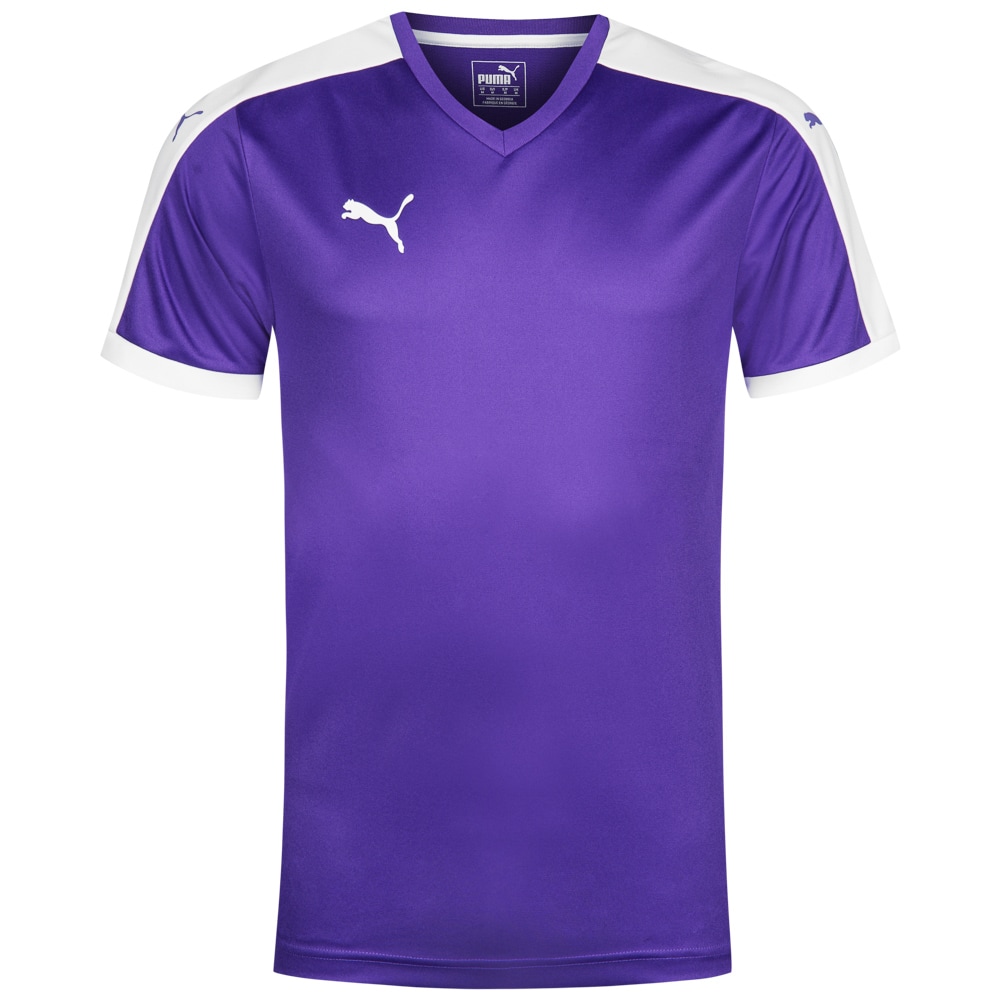 puma pitch long sleeve jersey