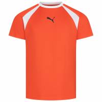 PUMA teamLIGA Multisport Men Jersey 658084-13