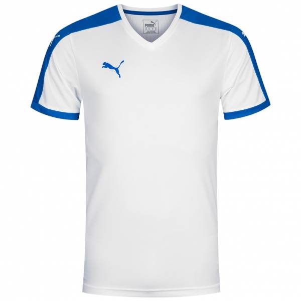 PUMA Pitch Jersey Kurzarm Trikot 702070-13