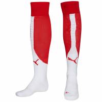 PUMA V3.06 Football Socks 700334-04