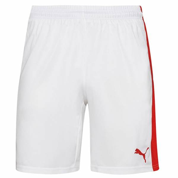 PUMA Power Cat 5.12 Kinder Shorts 701266-12J