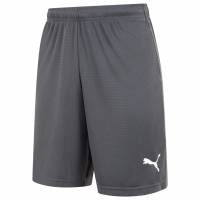 PUMA LIGA Training Core Herren Shorts 655664-11