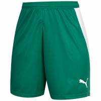 PUMA Evospeed Hombre Pantalones cortos 7