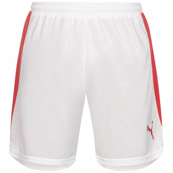 DHF Dänemark PUMA Herren Handball Shorts 744031-02