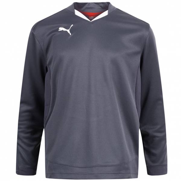 PUMA V5.08 Buffon Men Long-sleeved Goalkeeper Jersey 700489-22