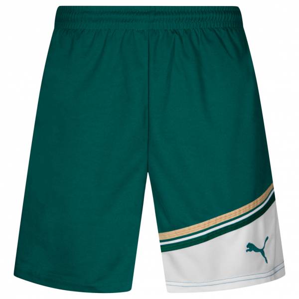 PUMA King Herren Fußball Shorts mit Innenhose 700999-05