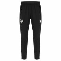 Ospreys Rugby macron Herren Trainingshose 60003695