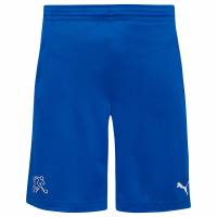 Switzerland PUMA Men Training Shorts 745434-02
