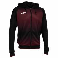 Joma Tiger V Men Hooded Jacket 103236.115