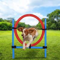 maxxpro Agility Spring Ring - Set Agility for dogs 47433
