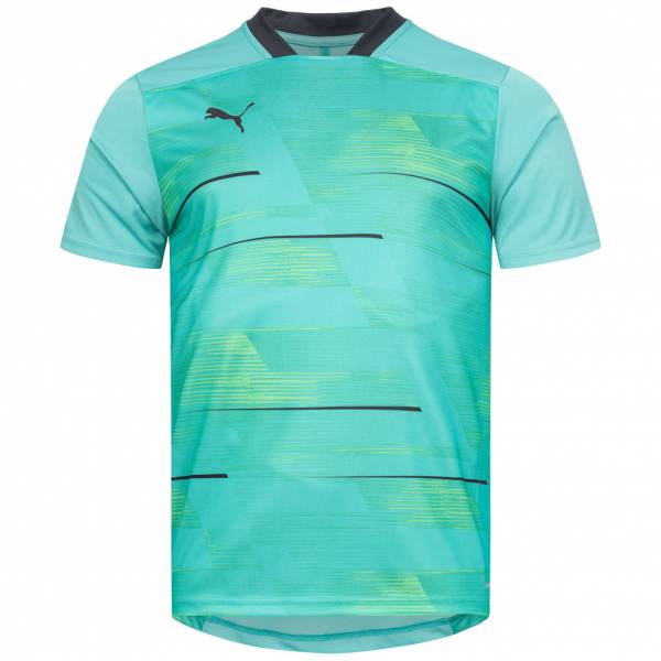 PUMA ftblNXT Graphic Shirt Herren Trikot 656615-05