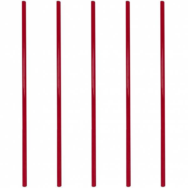 Agility Sports Asta coordinata 100 cm Set da 5 228572