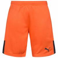 PUMA Estadio Hombre Pantalones cortos deportivos 702090-36
