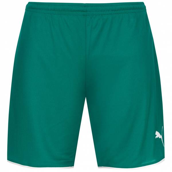 PUMA V-Konstrukt Herren Shorts 700915-01