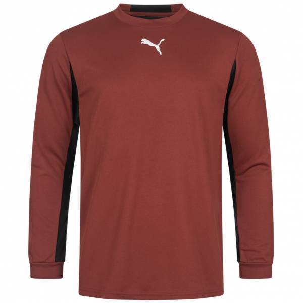 PUMA V5.06 Hommes Maillot de gardien de but 700259-01