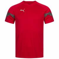PUMA teamFINAL Men Jersey 657379-01