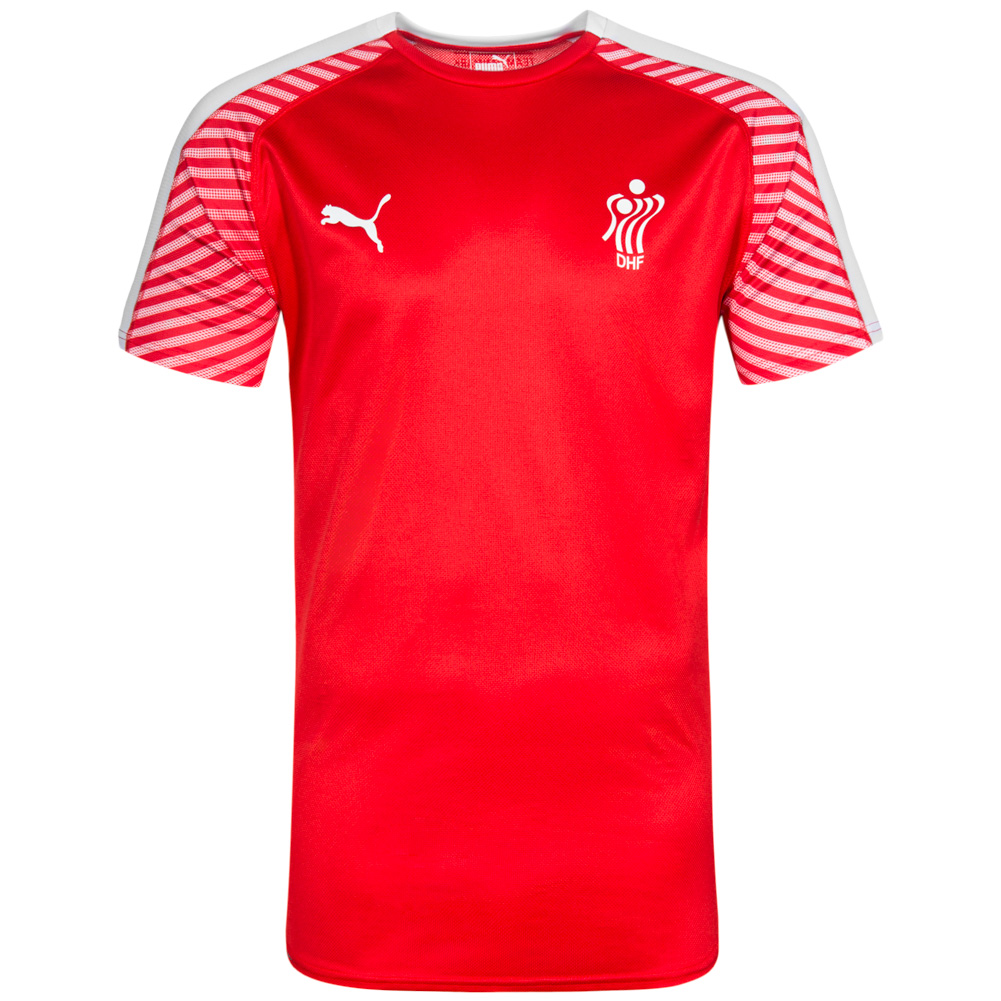 DHF Denmark PUMA Men Handball Jersey 75067501