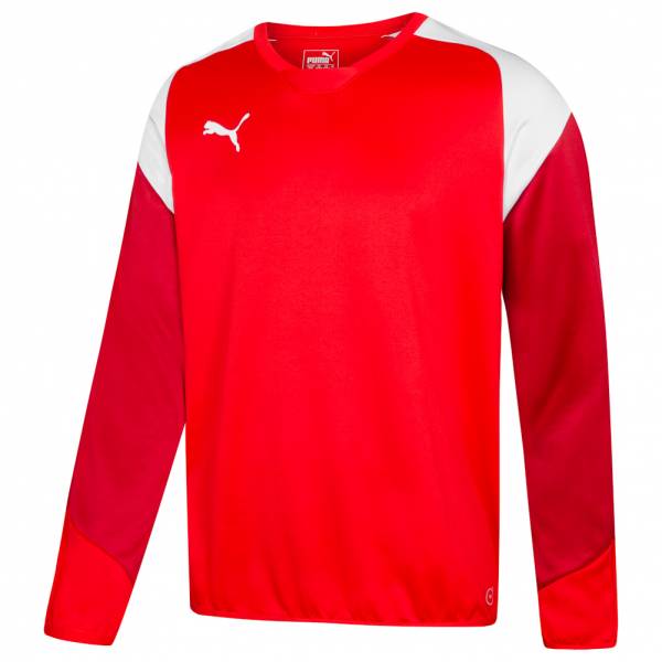 PUMA Esito 4 Sweat Herren Trainings Sweatshirt 655222-01