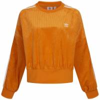 adidas Originals Adicolor Classics Cord Oversize Damen Sweatshirt H37847