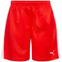 DHF Dänemark PUMA Damen Handball Shorts 750674-01