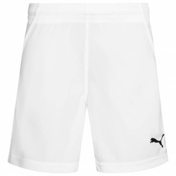 PUMA PowerCat 1.10 Handball Shorts 700873-04