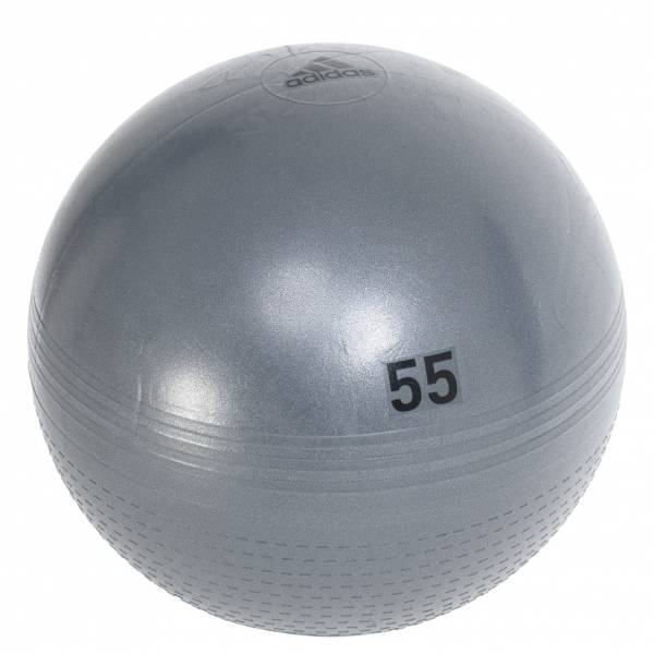 adidas Gymball 55cm CK6273