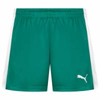 PUMA Toonhoogte Heren Trainingsshort 702075-05
