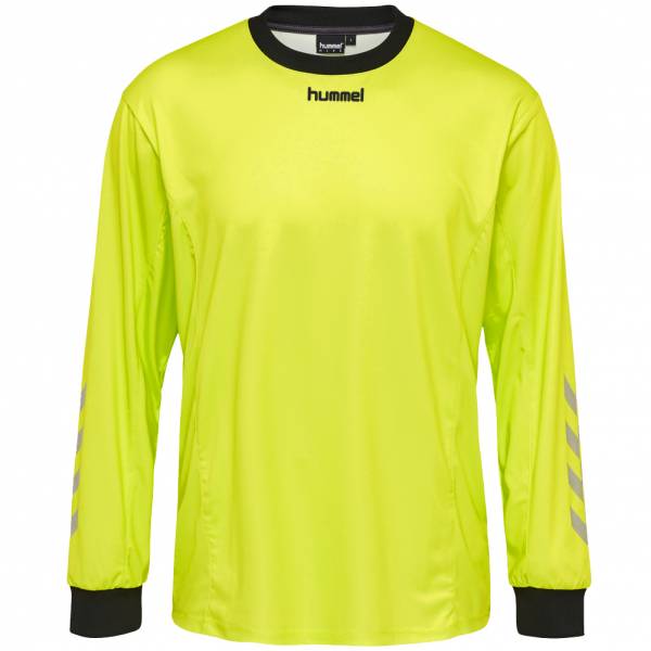 hummel HIVE hmlDONNY Hommes Haut à manches longues 205698-5998