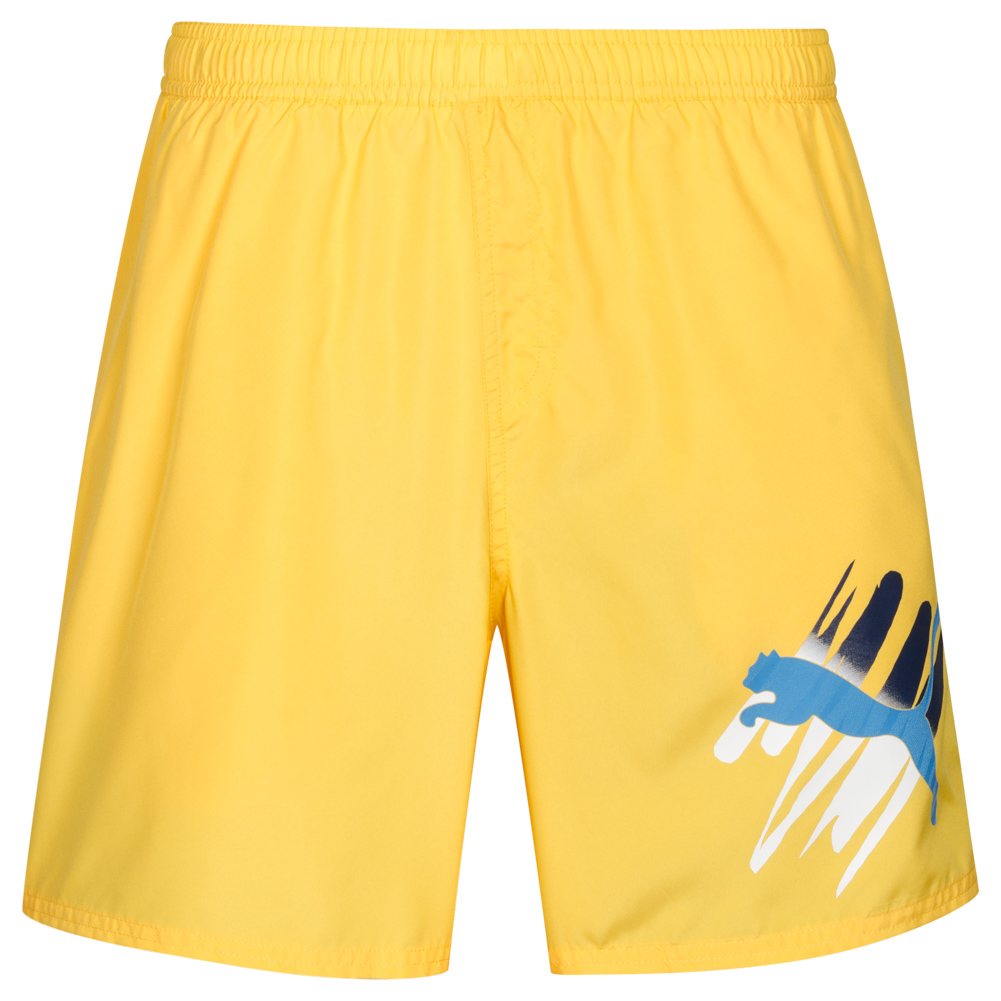 mens puma swim shorts