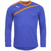 PUMA Esito Long-sleeved Goalkeeper Jersey 701064-37