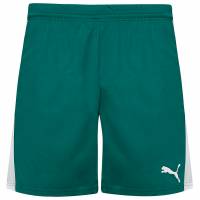 PUMA Power Cat 5.12 Heren Short 701266-05