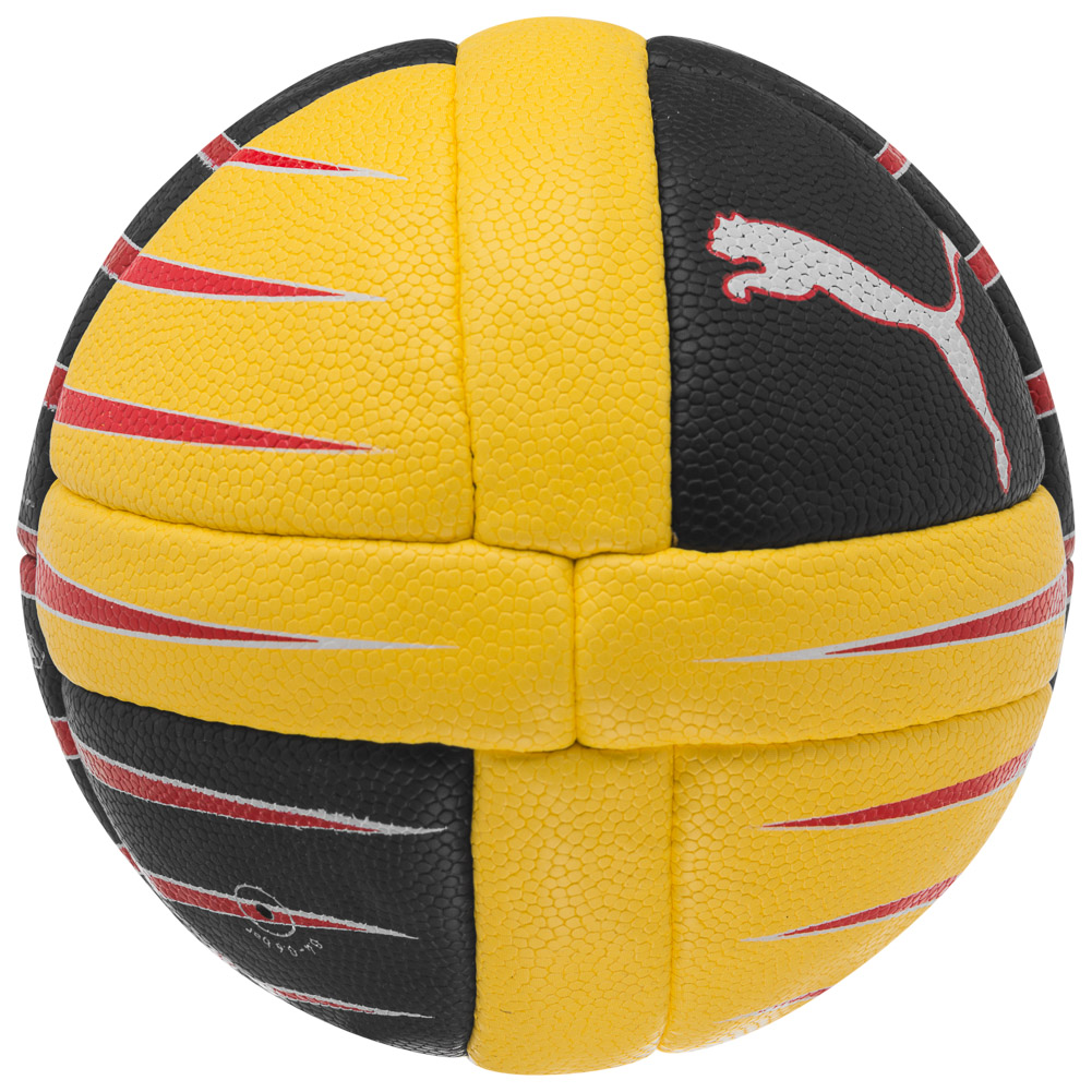 handball puma