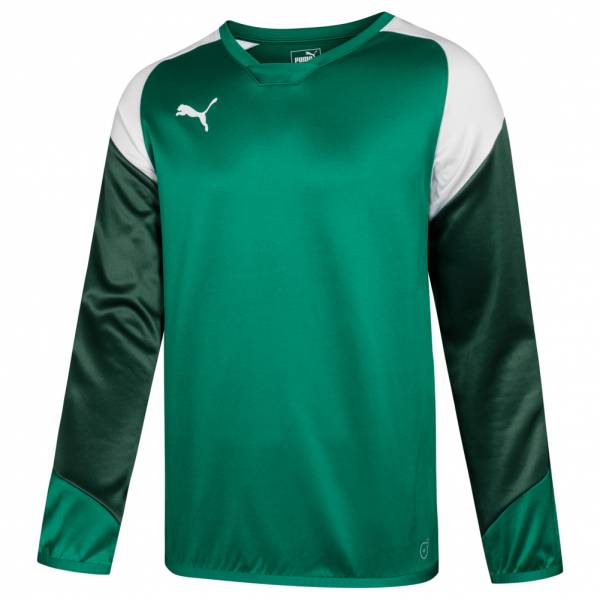 PUMA Esito 4 Herren Trainings Sweatshirt 655222-05