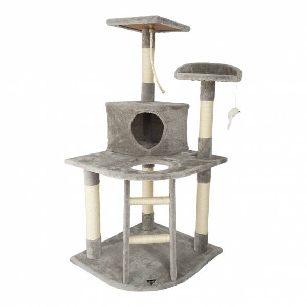 SPOCADO &quot;Rovers&quot; Arbre à chat pour chat 120 x 55 x 55 cm gris