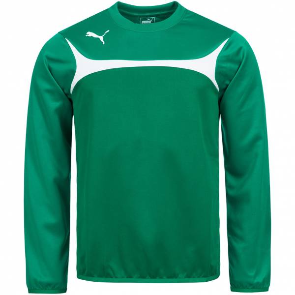 PUMA Esito 3 Herren Training Sweatshirt 653967-05