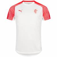 DHF Denemarken PUMA Heren Handbalshirt 750675-12