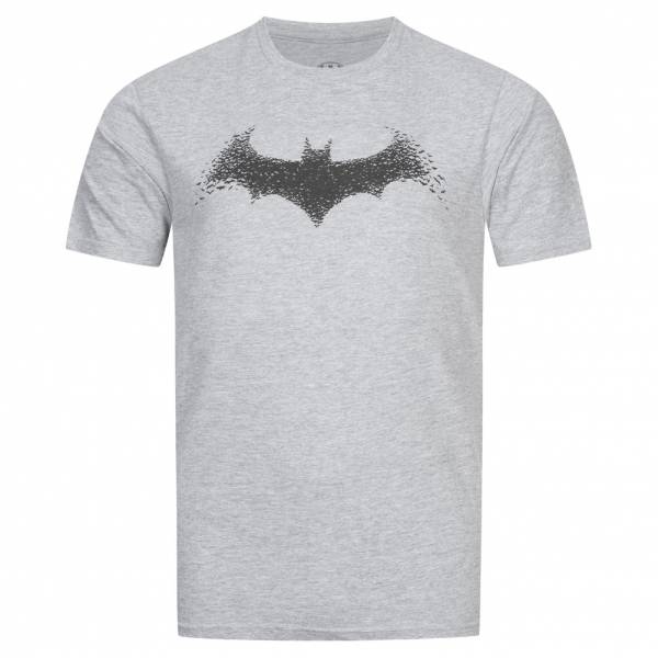 Batman DC COMICS Herren T-Shirt GBMTS357HGY