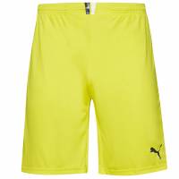 PUMA King Herren Shorts 701701-37