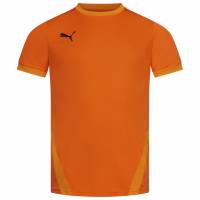 PUMA teamGOAL Jersey Uomo Maglia 704171-08