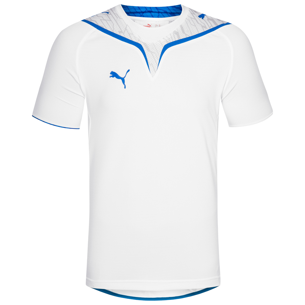 puma 31